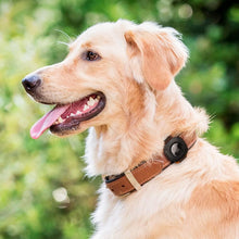 Cargar imagen en el visor de la galería, Spigen ComforTag - Funda diseñada para AirTag, soporte para collar de perro y gato
